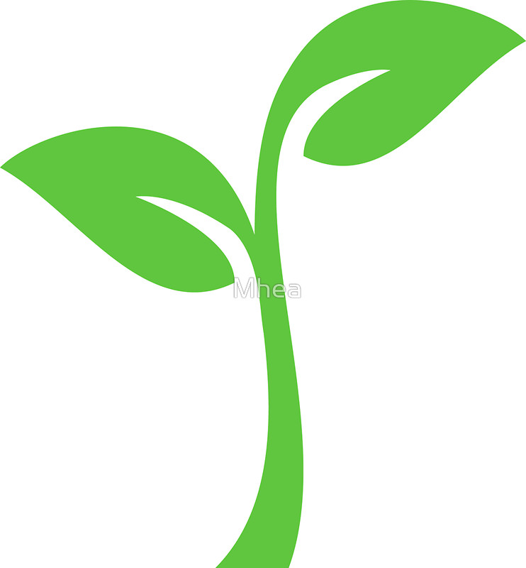 742x800 Icon Leaf