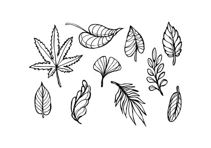 700x490 Leaf Icon Free Vector Art