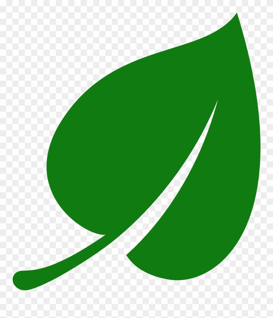 880x1025 Leaf Icons Download For Free In Png And Canadian