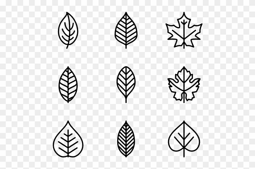 880x585 Leaf Icons Free Rounded