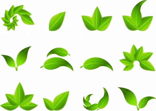 517x368 Leaf Icon Free Vector Download