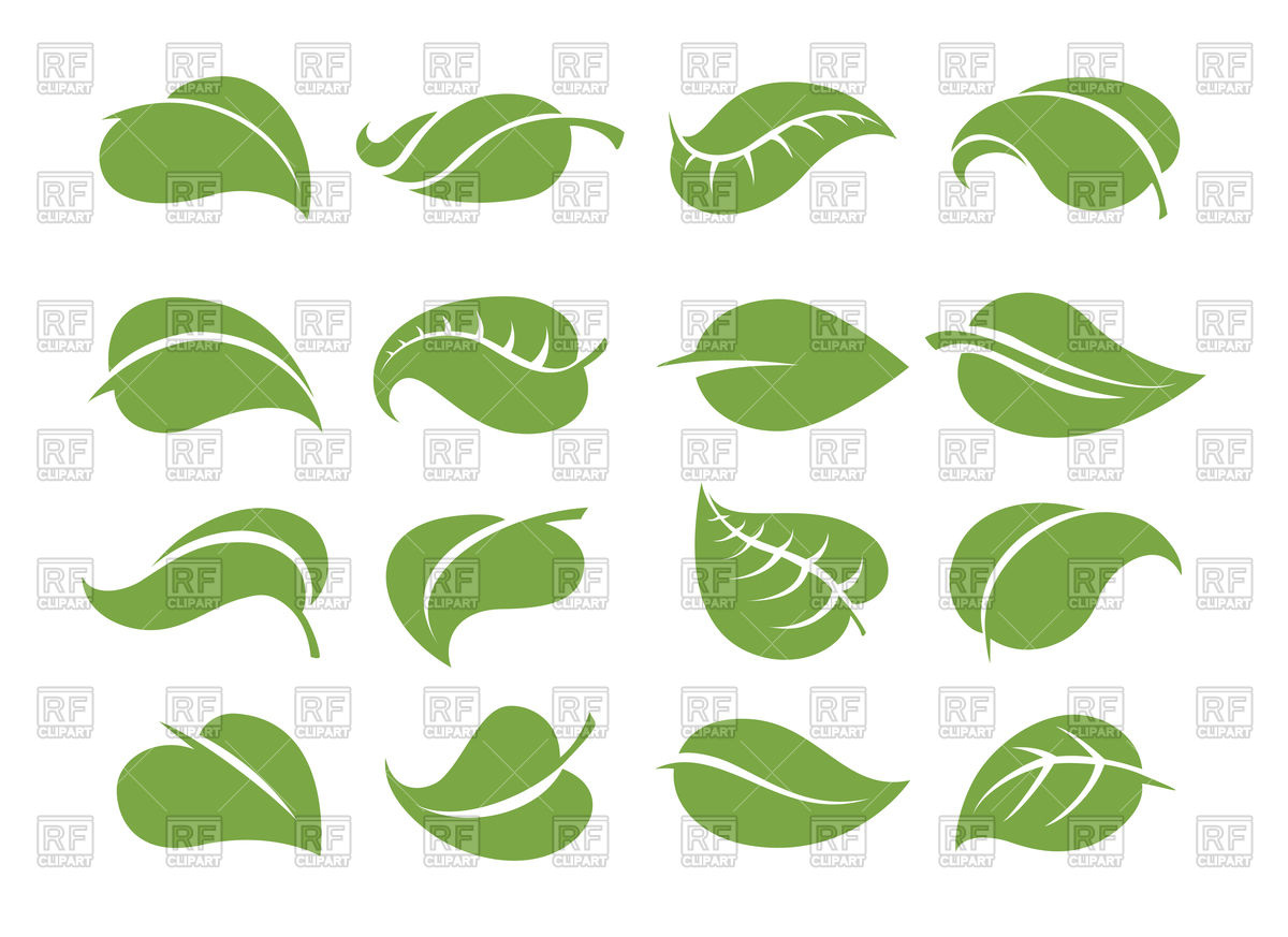 1200x873 Set Of Leaves Icons Vector Image Of Signs, Symbols, Maps