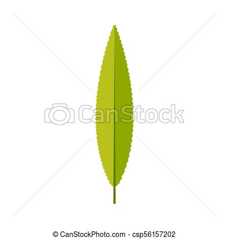 450x470 Willow Leaf Icon Vector Design Illustration Free Royalty Images