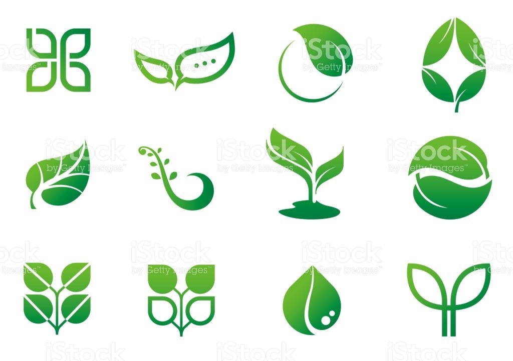 1024x722 Leaf Icon Logo Set Shirt Ideas Free Vector Art, Logos