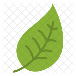 256x256 Leaf Icon Of Flat Style