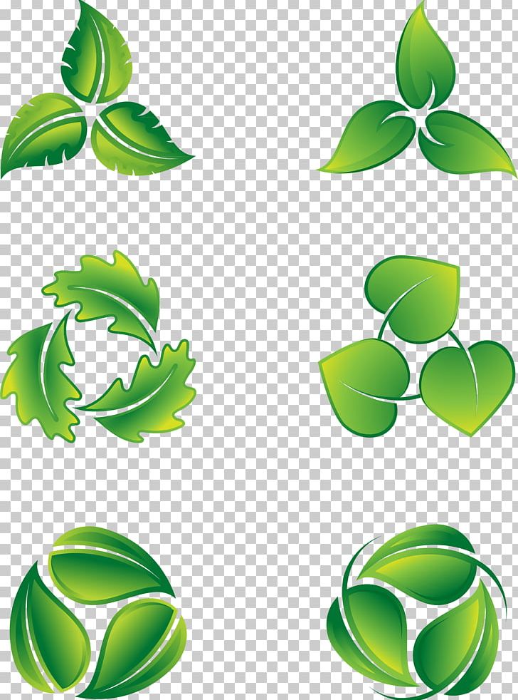 728x982 Leaf Logo Icon Png, Clipart, Background Green, Branch, Eco Green
