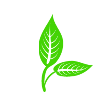 360x360 Leafs Icon Png Images Vector And Free Download