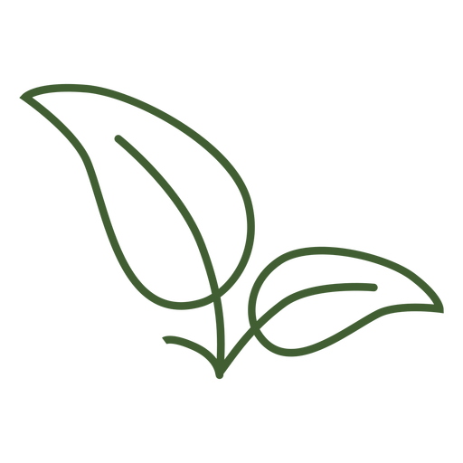 512x512 Simple Leaves Icon Image