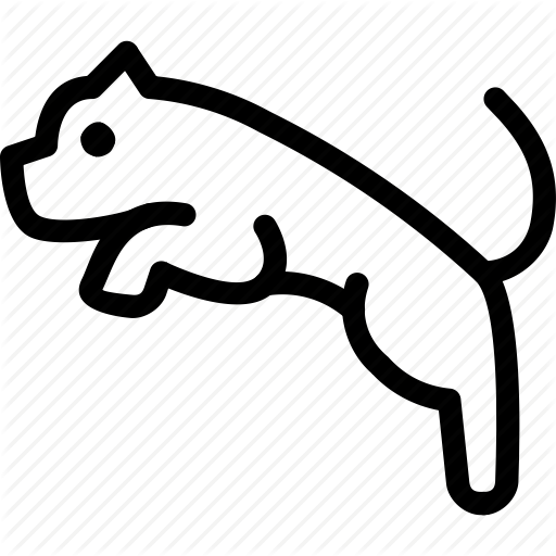 512x512 Animals, Jump, Leap, Mammal, Pets, Puma, Wild Icon