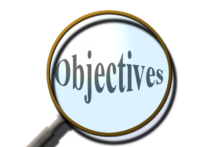 Learning Objectives Icon