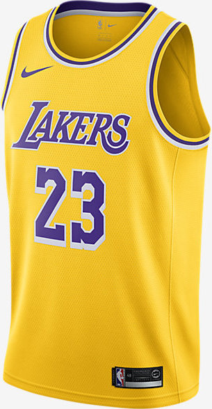 305x588 Nike Lebron James Icon Edition Swingman Basketball Jersey