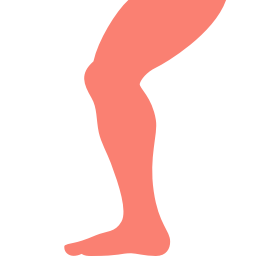 256x256 Free Salmon Leg Icon