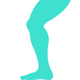 256x256 Free Turquoise Leg Icon