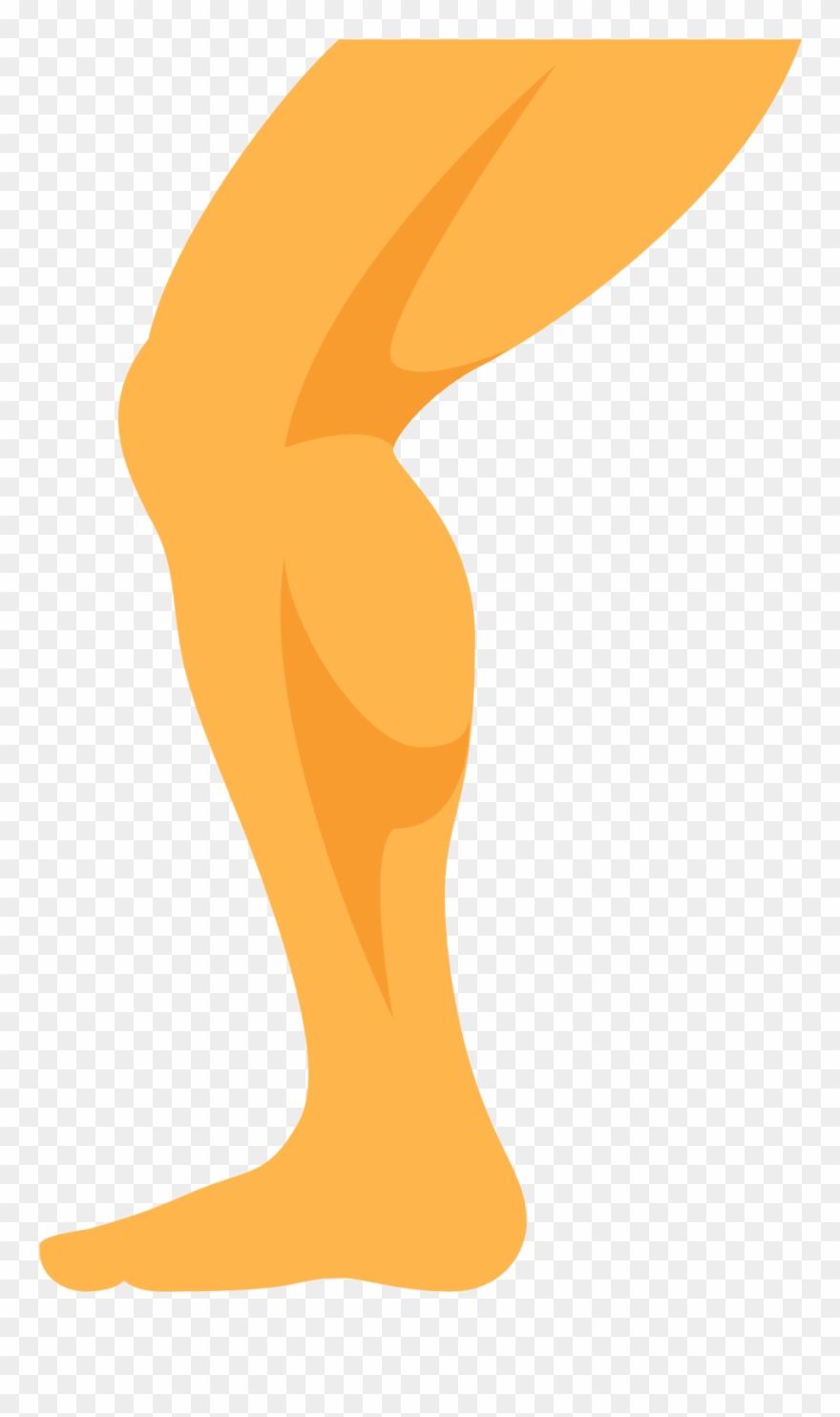 880x1484 Leg Icon