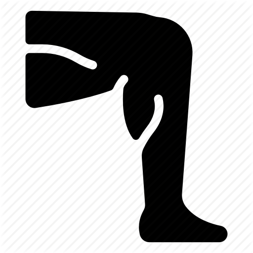 512x512 Anatomy, Body, Health, Human, Leg, Medical, Muscle Icon