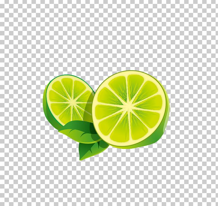 728x686 Lime Lemon Icon Png, Clipart, Adobe Illustrator, Citric Acid