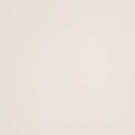 270x270 Icon White White Natural Smooth Matt One Caliber