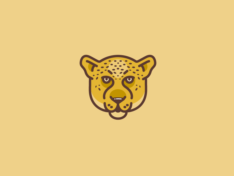 800x600 Leopard Icon