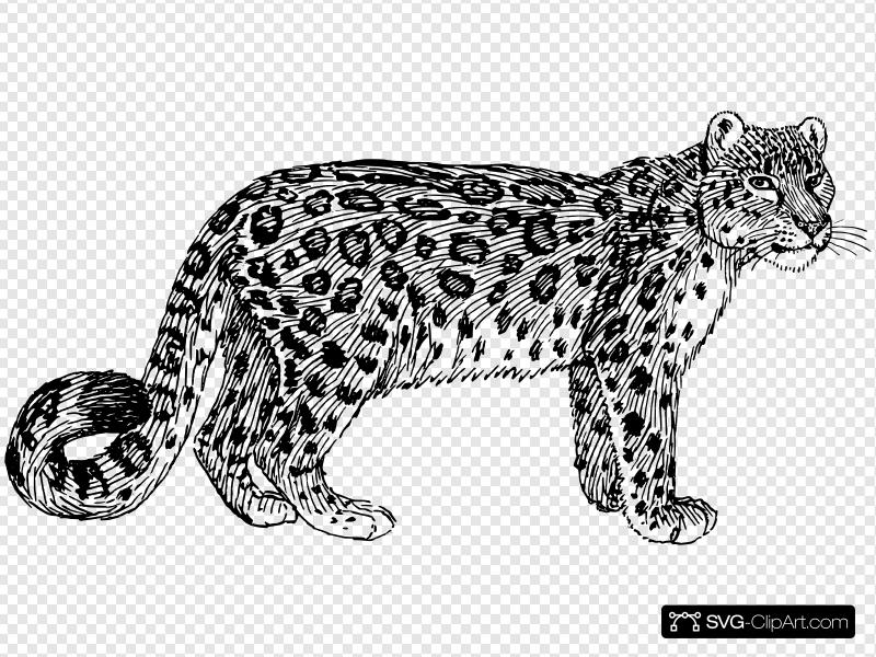 800x600 Snow Leopard Clip Art, Icon