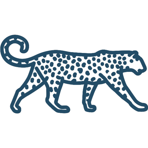 500x500 Leopard Icon