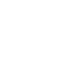 256x256 Free White Letter B Icon