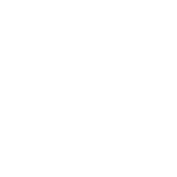 256x256 Free White Letter G Icon