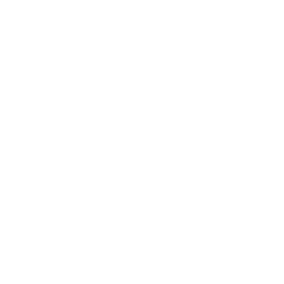 256x256 Free White Letter L Icon