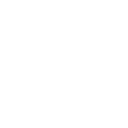 256x256 Free White Letter R Icon