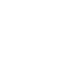 256x256 White Letter R Icon