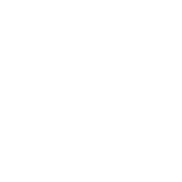 256x256 White Letter V Icon