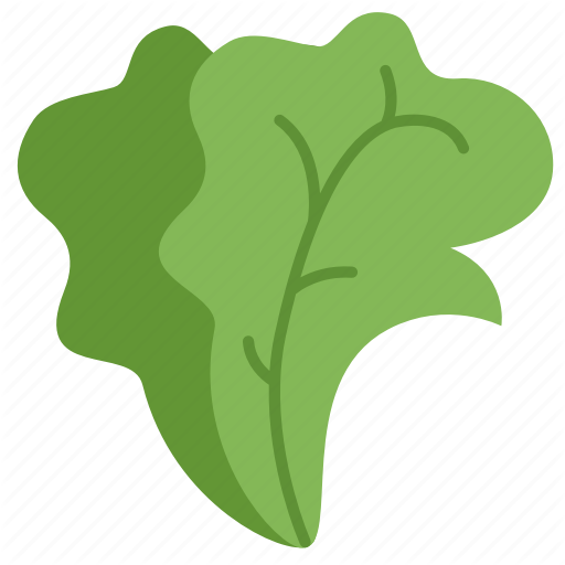 512x512 Fruit, Green, Lettuce, Salad, Vegetables Icon