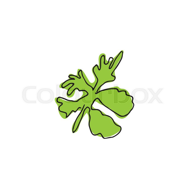 800x800 Ingredient For Salad