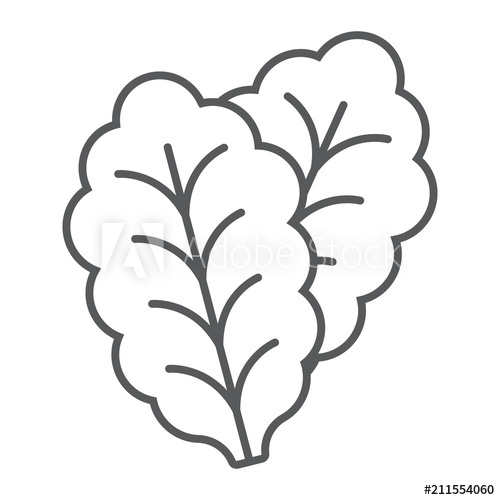 500x500 Leaf Lettuce Thin Line Icon, Vegetable And Diet, Vegetarian Sign