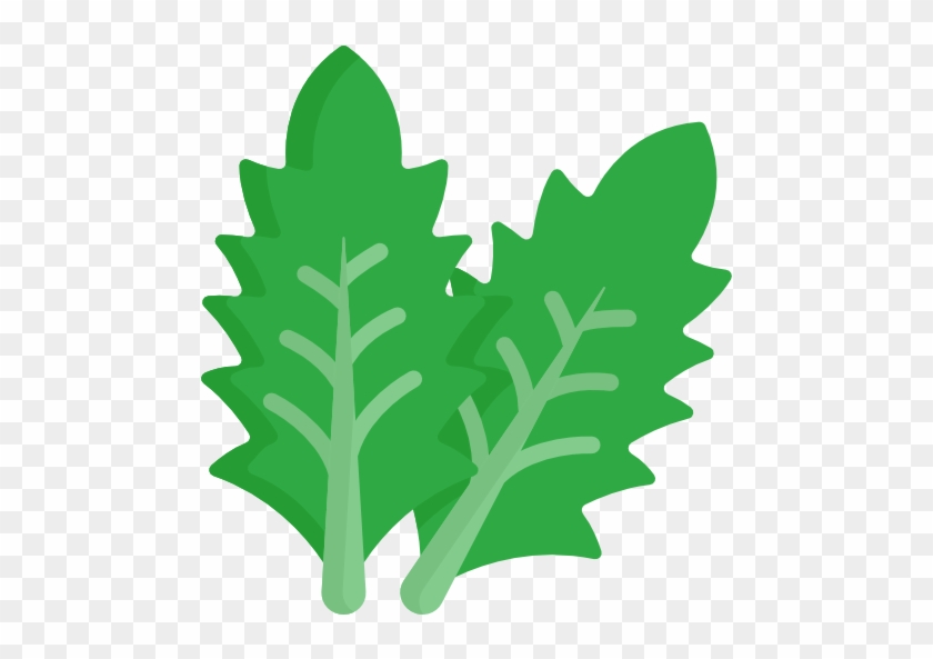 840x593 Lettuce Free Icon