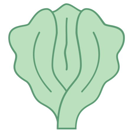 452x452 Lettuce Icon