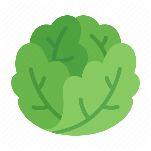 512x512 Colour, Food, Green, Iceberg, Lettuce, Salad, Vegetable Icon