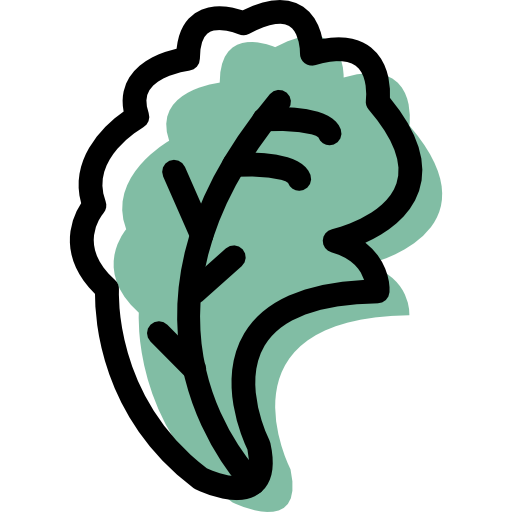 512x512 Lettuce Icon Free Of Drink And Food Assets