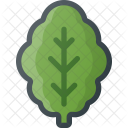 256x256 Lettuce Icon Of Colored Outline Style