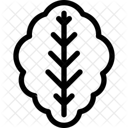 256x256 Lettuce Icon Of Line Style