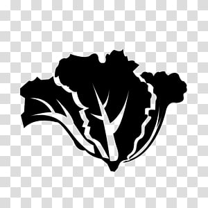 300x300 Computer Icons Vegetable Lettuce Symbol Food, Lettuce Transparent