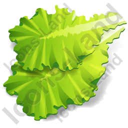 256x256 Vegetable Lettuce Icon, Pngico Icons