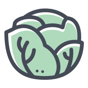 300x300 Lettuce Icon