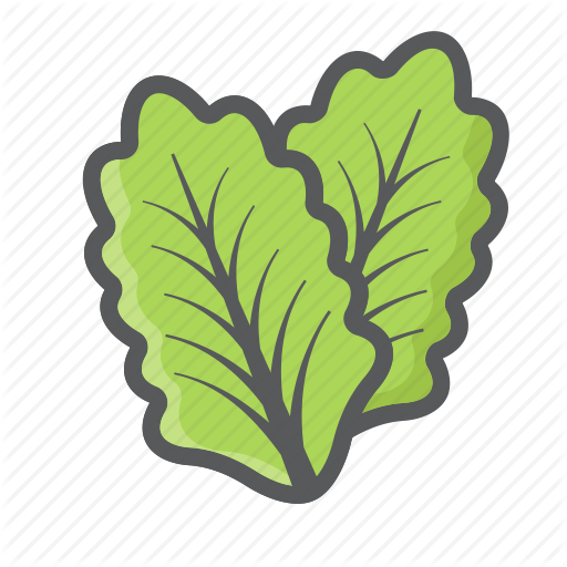 512x512 Diet, Food, Leaf, Lettuce, Salad, Vegetable, Vegetarian Icon