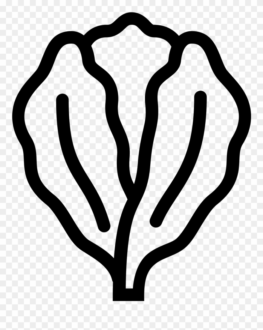 880x1106 Drawing Png