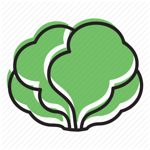 512x512 Food, Fruit, Head Of Lettuce, Lettuce, Salad, Vegetable Icon