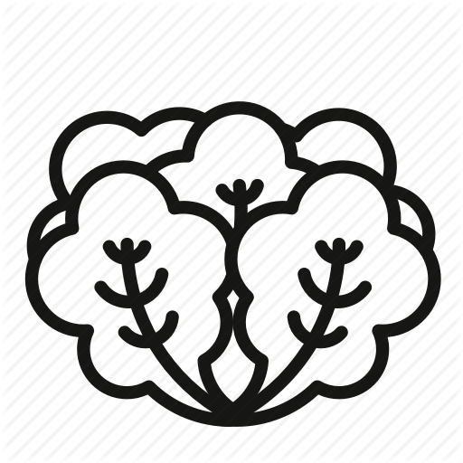 512x512 Food, Green, Health, Lettuce, Salad Icon