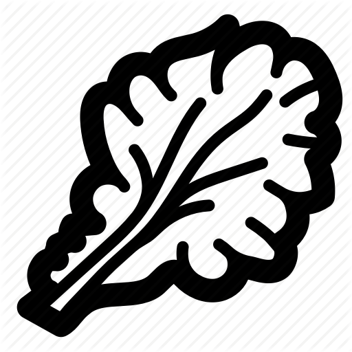 512x512 Food, Leaf, Lettuce, Salad, Vegetable Icon