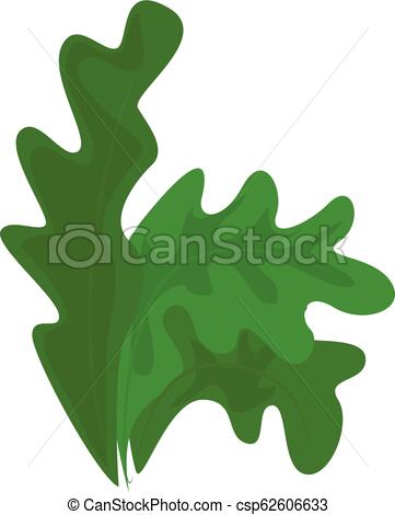 361x470 Frisee Lettuce Icon, Cartoon Style Frisee Lettuce Icon Cartoon