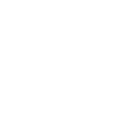 256x256 White Lexus Icon