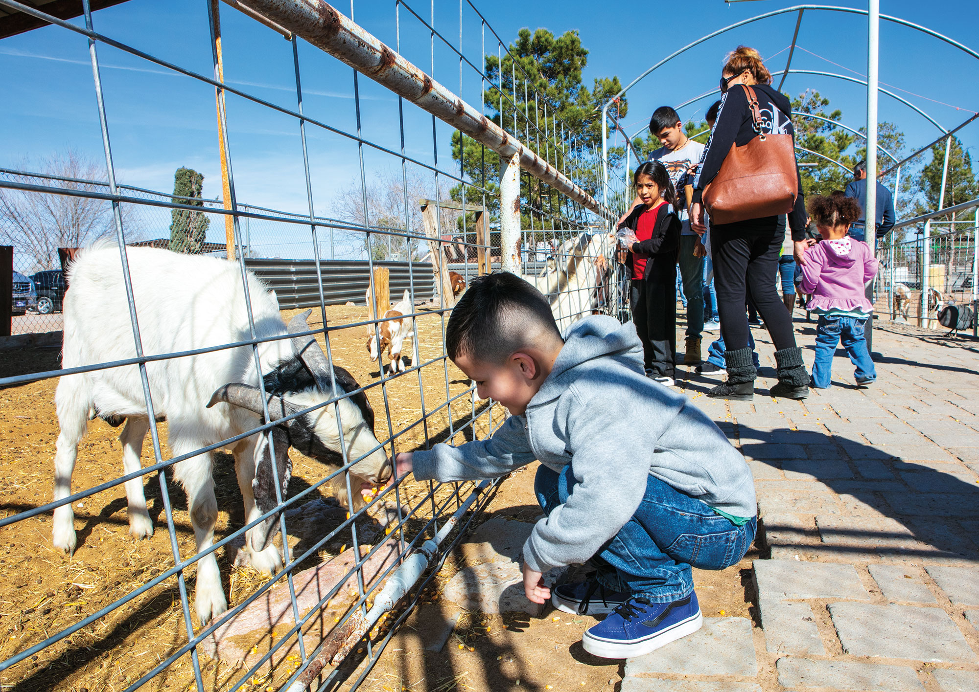 2000x1415 The Licon Family Has Been Making Asadero Cheese In San Elizario